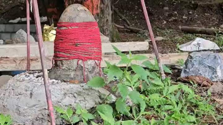 स्थानीय मुस्लिम समुदाय द्वारा प्रदर्शित सांप्रदायिक सद्भाव, जिन्होंने न केवल मूर्तियों की रक्षा की, बल्कि उनका सम्मान भी किया. ये कश्मीर के समन्वयात्मक अतीत की एक शांति, लेकिन शक्तिशाली याद दिलाता है.