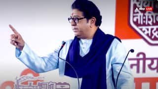 राज ठाकरे और MNS के खिलाफ याचिका सुप्रीम कोर्ट ने नहीं सुनी, याचिकाकर्ता से पूछा- क्या हाई कोर्ट छुट्टी पर है?