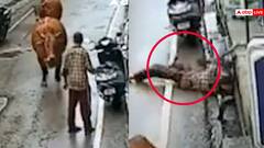 Video: सांड ने किया शख्स पर हमला, 10 फीट हवा में उछालकर पटका, CCTV में कैद हुई घटना