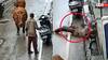 Video: सांड ने किया शख्स पर हमला, 10 फीट हवा में उछालकर पटका, CCTV में कैद हुई घटना