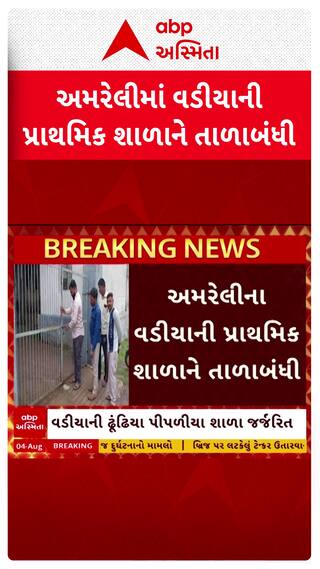 Amreli News : વડીયાના ઢૂંઢિયા પીપળીયા ગામની પ્રાથમિક  શાળાને વાલીઓએ કરી તાળાબંધી