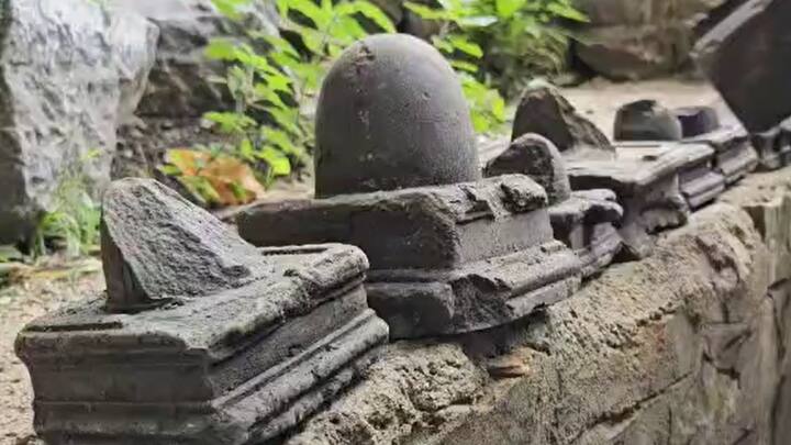 एक अधिकारी ने बताया कि मूर्तियों को उनकी आयु और उत्पत्ति का पता लगाने के लिए सामग्री और कार्बन डेटिंग परीक्षण के लिए श्रीनगर भेजा जाएगा.