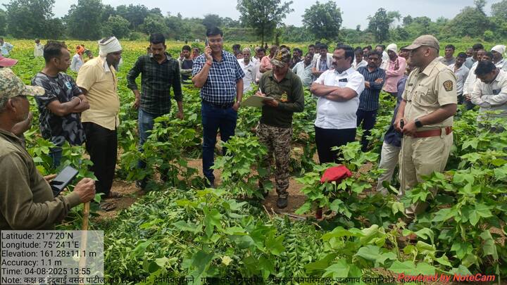 ग्रामस्थांनी वनविभागाकडे तातडीने पिंजरा लावण्याची आणि बिबट्याचा बंदोबस्त करण्याची मागणी केली असून, पुढे आणखी जीवितहानी होऊ नये यासाठी योग्य ती खबरदारी घेण्याचे आवाहन करण्यात येत आहे.