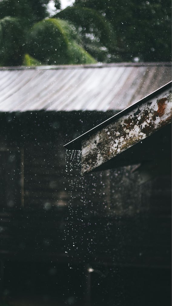 বর্ষা মানেই হাজারও অসুখ, নিজেকে সুস্থ রাখতে কী কী করবেন?