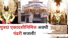 Pandharpur: पुत्रदा एकादशीनिमित्त पंढरी सजली! विठ्ठल-रुक्मिणी मंदिराला फुलांची आकर्षक सजावट, भाविकांची गर्दी