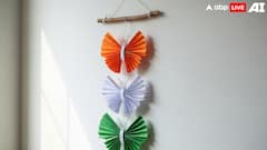8 DIY Tricolour Crafts Kids Can Make At Home This Independence Day 205