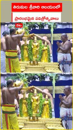 తిరుమలలో ఘనంగా శ్రీవారి పవిత్రోత్సవాలు