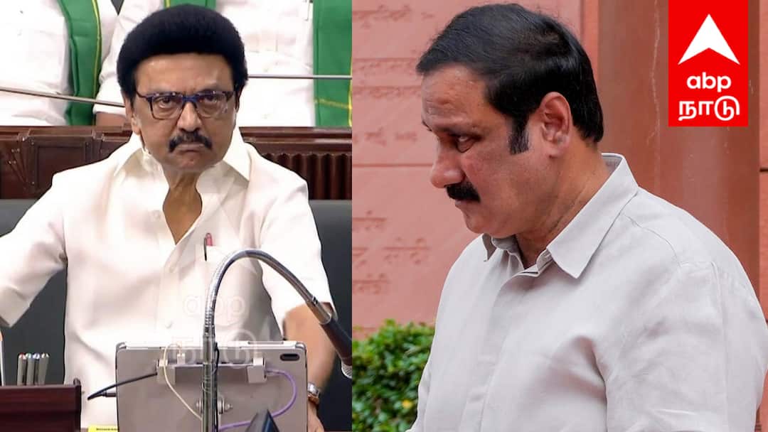 ‘கர்நாடக அரசிடம் பாடம் படியுங்கள் ஸ்டாலின்' -  அன்புமணி ராமதாஸ் காட்டம்