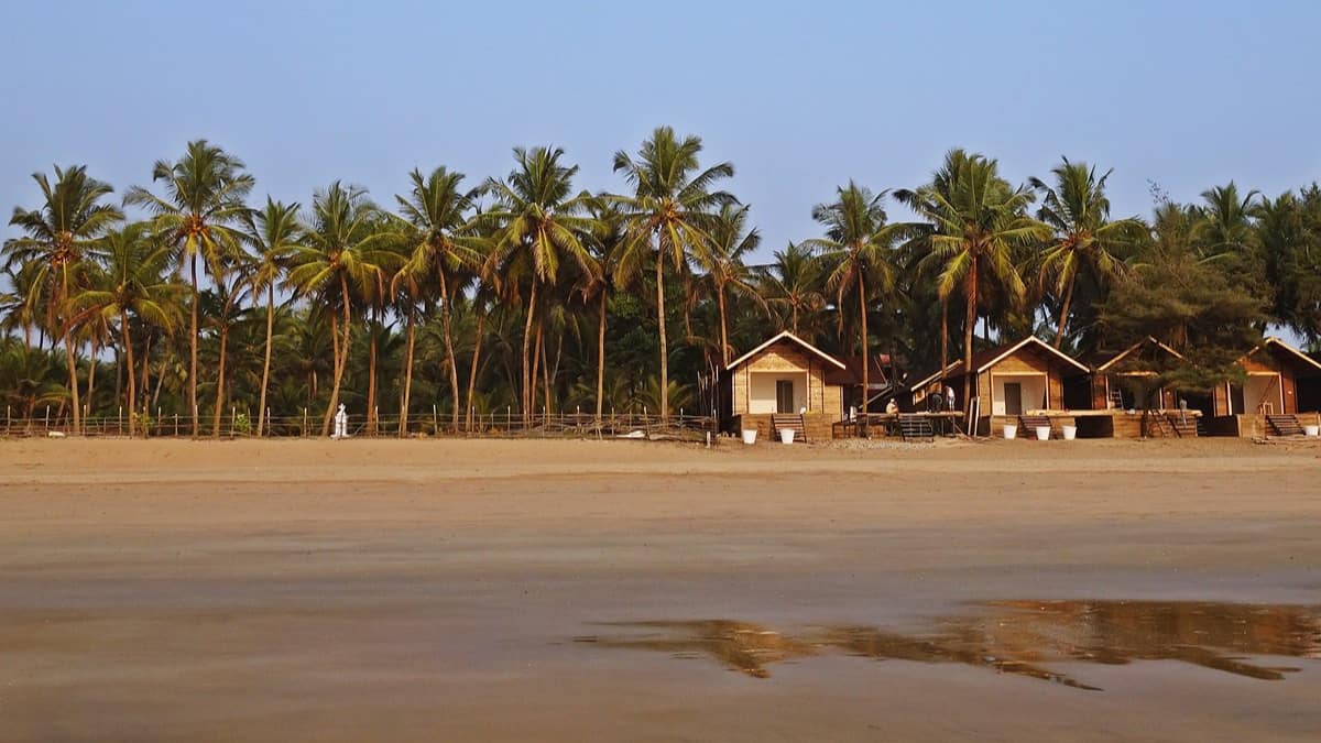 (Image Source: Twitter/@dietermichalek)