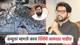कबुतरं म्हणजे एकनाथ शिंदेंचे आमदार नाहीत; आदित्य ठाकरेंचा एकनाथ शिंदेंना टोला, दिल्लीला रवाना