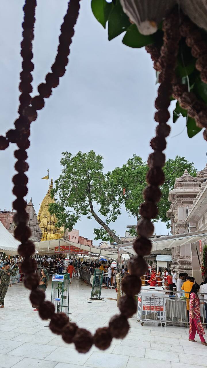 श्रद्धालु लंबी कतार में लगकर बाबा विश्वनाथ का दर्शन करने के लिए पहुंचे.