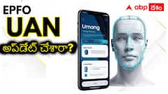 ప్రభుత్వం, ప్రైవేట్ ఉద్యోగులకు బిగ్ అలర్ట్- EPFOలో ఈ అప్‌డేట్స్‌ చేశారు?