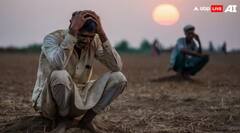 ਅੰਨਦਾਤੇ ‘ਤੇ ਇੱਕ ਹੋਰ ਮਾਰ ! ਝੋਨੇ ਦੀ ਫਸਲ 'ਤੇ ਵਧਿਆ ਫਿਜੀ ਵਾਇਰਸ ਦਾ ਖ਼ਤਰਾ, ਕਿਸਾਨਾਂ ਵਿੱਚ ਚਿੰਤਾ ਵਧੀ