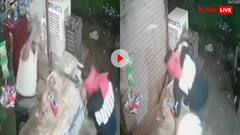 बस एक कदम और बच गई जान! हथियारबंद बदमाशों से भिड़ गया परचून वाला, CCTV में कैद हुई बहादुरी- वीडियो वायरल