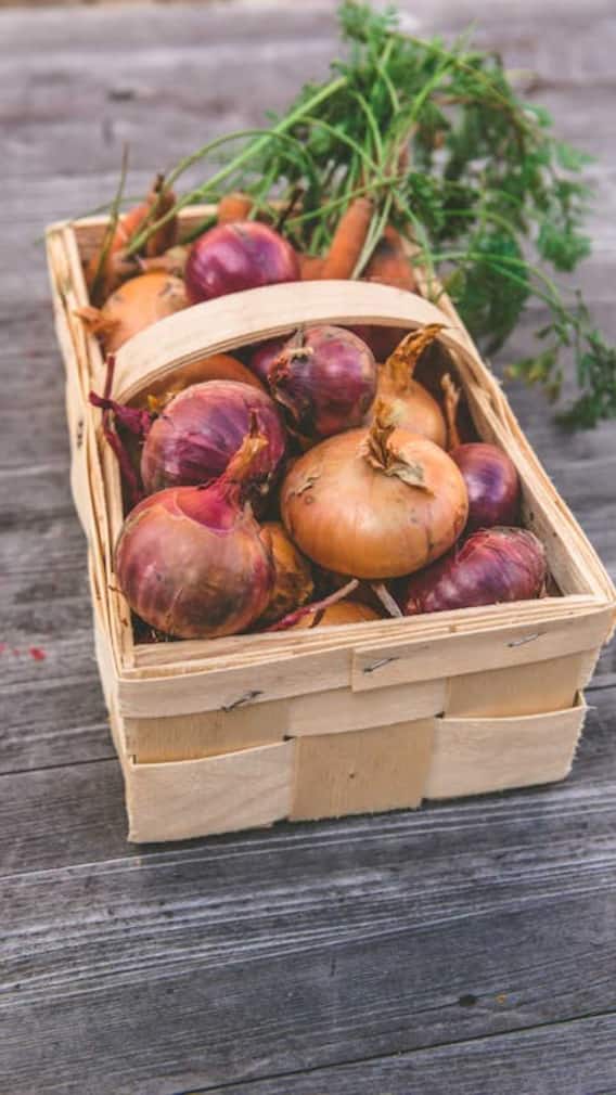 घर की बालकनी में कैसे उगा सकते हैं प्याज?