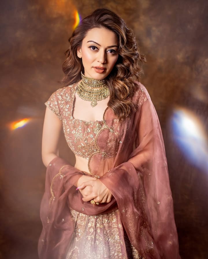 हंसिका मोटवानी के गैरेज कलेक्शन की बात करें तो इसमें 10 करोड़ की रोल्स रॉयस फैंटम, 52 लाख रुपए की बीएमडब्लू 5 सीरीज, 2.17 करोड़ की मर्सिडीज बेंज एस क्लास समेत कई महंगी गाड़ियां हैं.