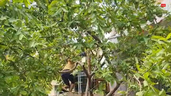 परिवार ने एबीपी न्यूज़ से बातचीत में सरकार से राशन और सहायता की मांग की. सलोरी में किराए के कमरों में रह रहे प्रतियोगी परीक्षा की तैयारी कर रहे छात्र भी फंस गए हैं. एक छात्र ने बताया कि पढ़ाई बंद है, कोचिंग नहीं जा पा रहे. लाइट नहीं है, कमरे में पानी है, अब तो गांव लौटने की सोच रहे हैं.  इन छात्रों को डर है कि पानी उतरते ही डेंगू और दूसरी बीमारियां पैर पसारेंगी.