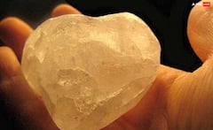 ਬਿਸਤਰੇ ਤੋਂ ਲੈਕੇ ਬਾਥਰੂਮ ਤੱਕ ਫਿਟਕਰੀ ਨਾਲ ਕਰੋ ਆਹ ਉਪਾਅ, ਕਈ ਪਰੇਸ਼ਾਨੀਆਂ ਤੋਂ ਮਿਲੇਗਾ ਛੁਟਕਾਰਾ