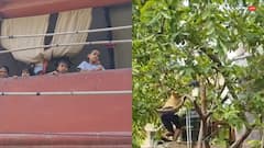 प्रयागराज के सलोरी में बाढ़ का कहर, घरों में कैद लोग, नाव से जा रहे दफ्तर, पेड़ से घर में हो रही एंट्री