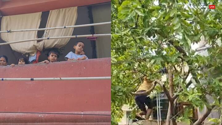 Prayagraj Flood News: सलोरी के कई इलाकों में घरों का पहला तल पूरी तरह पानी में डूब चुका है. लोग अब मजबूर होकर दूसरे माले पर रह रहे हैं.