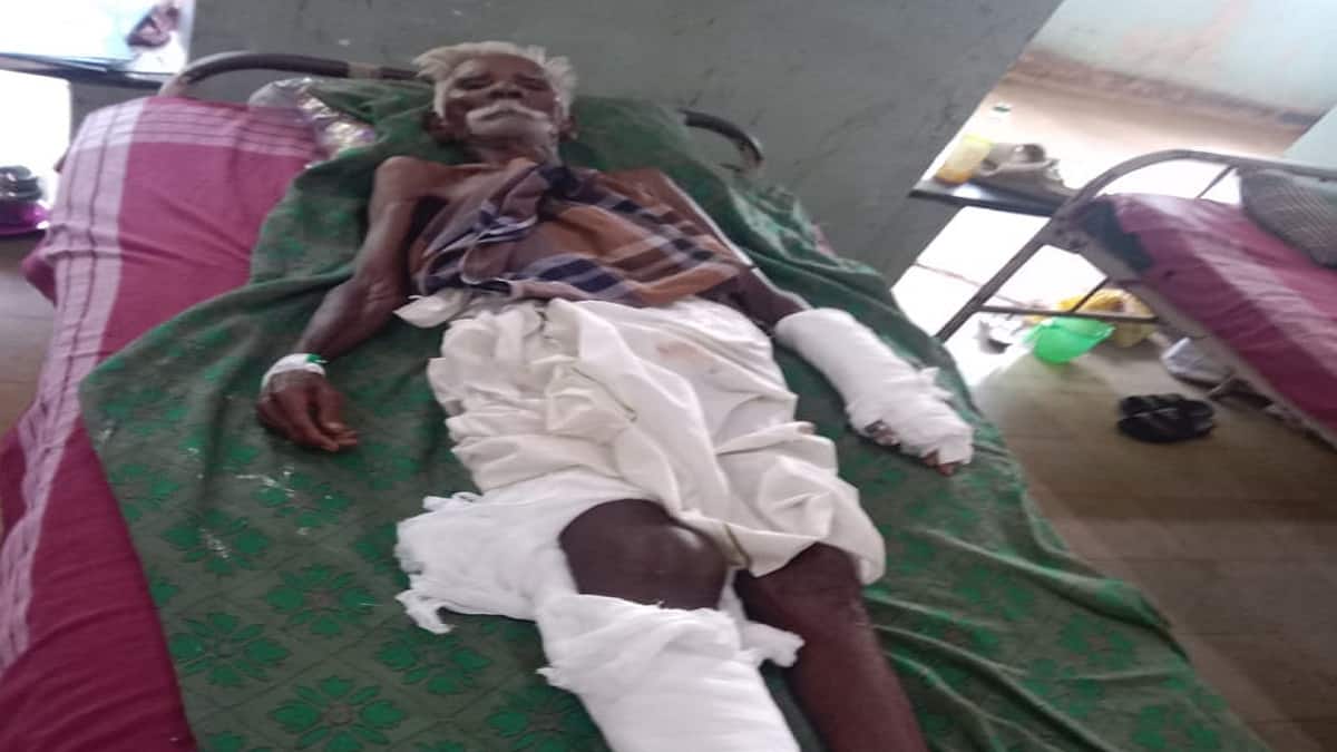 முதியவரை விரட்டி விரட்டி கடித்த காட்டுப்பன்றி... தஞ்சை அருகே அதிர்ச்சி