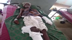 முதியவரை விரட்டி விரட்டி கடித்த காட்டுப்பன்றி... தஞ்சை அருகே அதிர்ச்சி