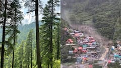 Uttarkashi Cloudburst: கடவுளின் மரத்தை வெட்டியதுதான் உத்தரகாசி காட்டாற்று வெள்ளத்திற்கு காரணமா?
