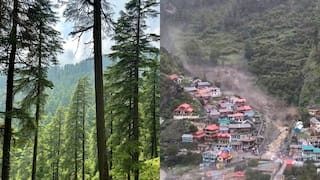 Uttarkashi Cloudburst: கடவுளின் மரத்தை வெட்டியதுதான் உத்தரகாசி காட்டாற்று வெள்ளத்திற்கு காரணமா?