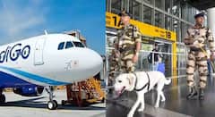 भारतातील सर्व विमानतळांवर हाय अलर्ट जारी; BCAS इशाऱ्यानंतर सुरक्षा व्यवस्थेत वाढ, वाचा नेमकं कारण काय?