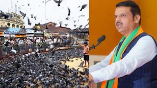 Dadar Kabutar khana: सरकार जैन समाजाच्या दबावापुढे नमले, कबुतरखान्यांवरील कारवाईला फडणवीसांनी स्थगिती दिल्याने विरोधकांचं टीकास्त्र