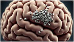 మెదడులోకి చేరుతున్న మైక్రోప్లాస్టిక్స్.. ప్రమాదాలు, నివారణకు తీసుకోవాల్సిన జాగ్రత్తలు ఇవే