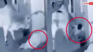 Video: असली सुपरमैन! मां पर किया हमला तो बिना डरे सांड से भिड़ गया बच्चा, वीडियो देख ठोकेंगे सलाम