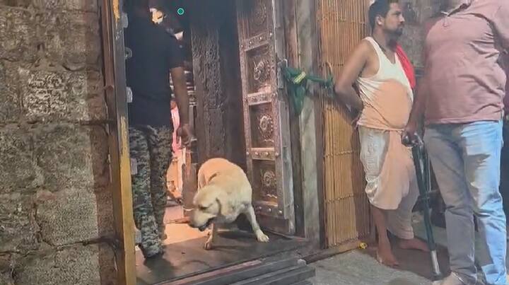 तुळजाभवानी देवी ही महाराष्ट्रातील एक प्रमुख कुलदेवी असून, लाखो भाविक दररोज तिच्या दर्शनासाठी तुळजापूरला येतात.