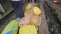 गोरखपुर में रोडवेज बस से 20 क्विंटल मिलावटी खोवा बरामद, रक्षाबंधन से पहले प्रशासन अलर्ट