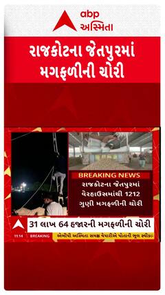 Rajkot Nafed Groundnut Theft: રાજકોટમાં મગફળીની ચોરી કે કૌભાંડ? સરકારે હાથ ખંખેર્યા!