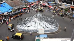 Astrology : जैन धर्मात कबुतरांना इतकं पवित्र का मानतात, परंपरा आणि धार्मिक महत्त्व काय?
