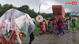 बारात नहीं रुकनी चाहिए... बारिश से बचने के लिए दूल्हे ने किया ऐसा जुगाड़ कि वायरल हो गया वीडियो