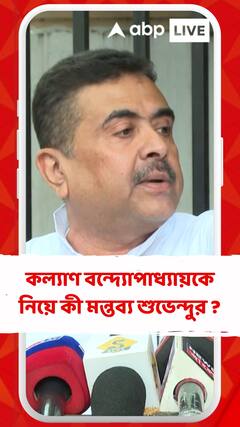 'কল্যাণ বন্দ্যোপাধ্যায়ের সঙ্গে ভাইপোর তুলনা করা উচিত নয়', মন্তব্য শুভেন্দুর