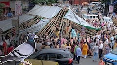 दादरच्या कबुतरखान्यावरील ताडपत्री हटवली, बांबू तोडले; जैन समाज आक्रमक, नेमकं काय घडलं?