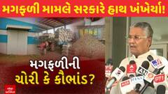 Rajkot Nafed Groundnut Theft: રાજકોટમાં મગફળીની ચોરી કે કૌભાંડ? સરકારે હાથ ખંખેર્યા!