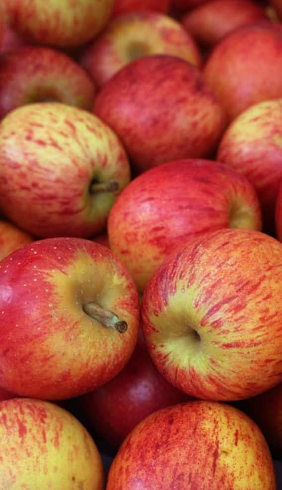 एका सफरचंदाचे पचन होण्यासाठी किती वेळ लागतो?