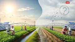 OPINION | India's Solar Push For Farmers Is Working. Ending PM-KUSUM Now Would Be a Mistake