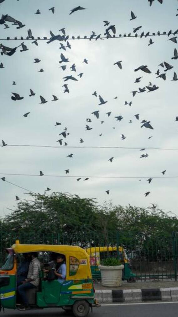 दिल्ली में बारिश का दौर जारी, अब 11 अगस्त तक कैसा रहेगा मौसम? जानें- IMD का अपडेट