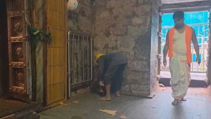 याआधी 1 ते 10 ऑगस्ट या कालावधीत गाभाऱ्यातील दर्शन बंद ठेवण्यात आले होते.