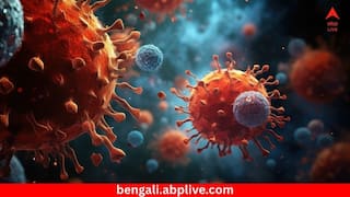 Chikungunya Outbreak: বিরল ভাইরাসের হানায় ৭০০০ মানুষ আক্রান্ত চিনে ! হু হু করে বাড়ছে সংক্রমণ- বাড়ছে আতঙ্ক