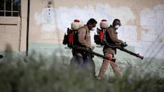 WHO ची भविष्यवाणी खरी ठरणार! 73 वर्षे जुना विषाणू पुन्हा आला, चीनमध्ये 7000 लोक बळी पडले