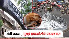 नागरिकांचे आरोग्य महत्त्वाचं,कबुतरखान्यांवरील बंदी कायम; हायकोर्टाचे निरीक्षण, समिती नेमण्याचे आदेश