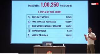 चुनाव आयोग पर बरसे राहुल गांधी, लगाए आरोप- 5 तरीकों से चुराए गए वोट, सबूत भी दिखाए