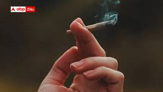 Drug tests: తెలంగాణలో ఈగల్ సంచలన నిర్ణయం - అన్ని విద్యాసంస్థల్లో డ్రగ్ టెస్టులు