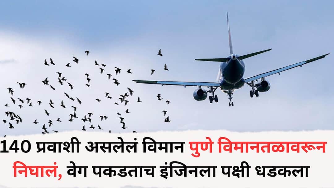 Pune News : 140 प्रवाशांनी भरलेलं विमान पुणे विमानतळाच्या धावपट्टीवरून भुवनेश्वरला निघालं, वेग पकडताच उजव्या इंजिनला पक्षी धडकला अन्... Air India Express plane suffers bird hit before take-off at Pune Airport Pune News : 140 प्रवाशांनी भरलेलं विमान पुणे विमानतळाच्या धावपट्टीवरून भुवनेश्वरला निघालं, वेग पकडताच उजव्या इंजिनला पक्षी धडकला अन्...